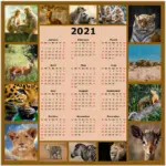 Calendar Year 2021